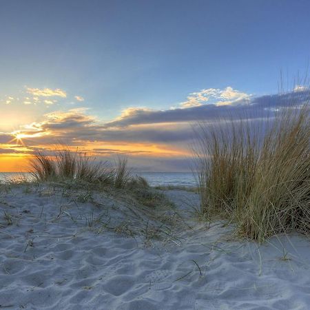 Urlaub Im Wintergarten Rostock-Lichtenhagen-Dorf Apartment Ngoại thất bức ảnh